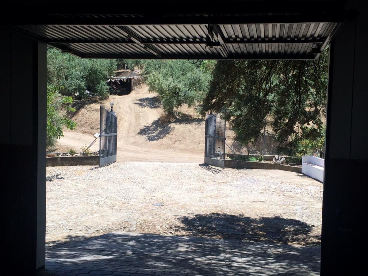 Villa La Quinta Priego de Córdoba Εξωτερικό φωτογραφία